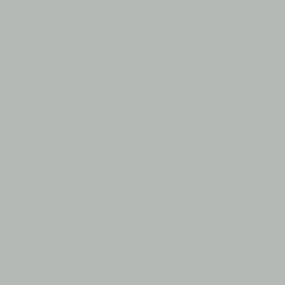 EDC Light Grey 6016 — closet door colour swatch