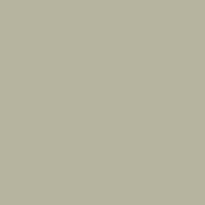 Light Grey 729 — closet door colour swatch