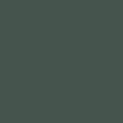 Hunter Green 3027 — closet door colour swatch