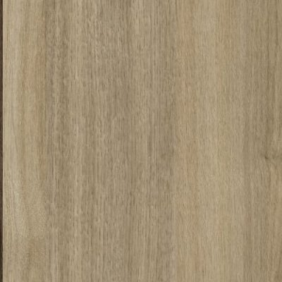 The Chameleon L-584 — closet door colour swatch