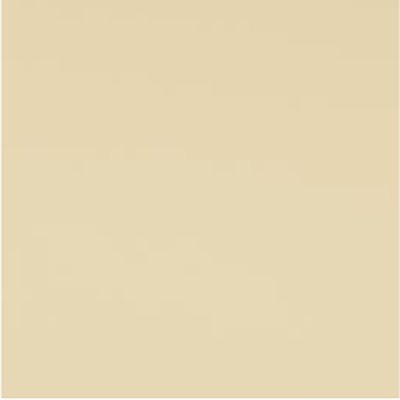 Ivory L-204 — closet door colour swatch